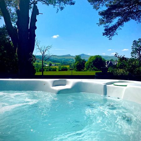 Mountain View Cottage, Hot Tub , Stunning Views Llanhamlach Eksteriør billede